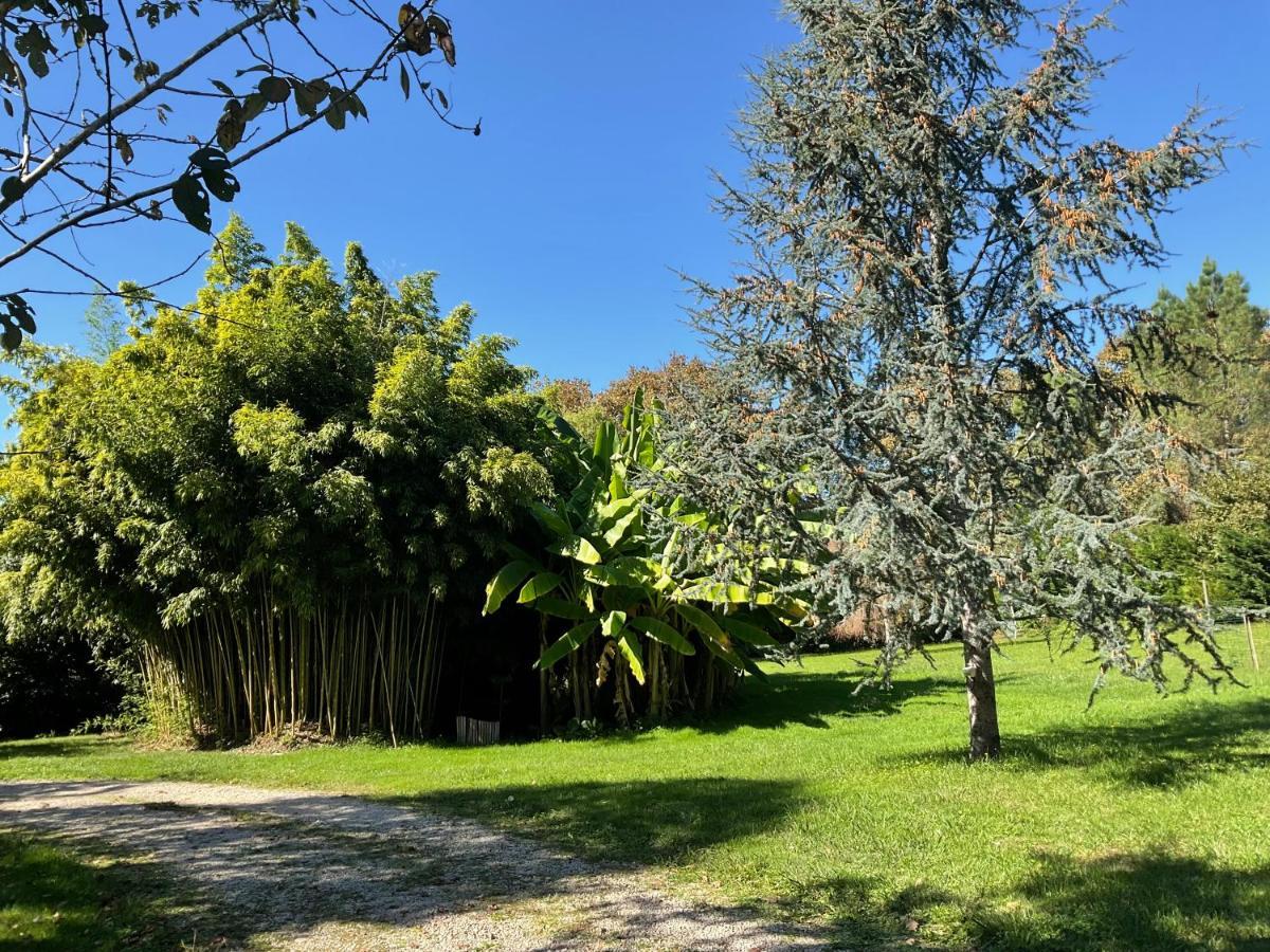Le Clos Du Benestar Mauvezin-d'Armagnac Buitenkant foto